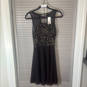 Suzy Shier Sheer Black Mini Dress